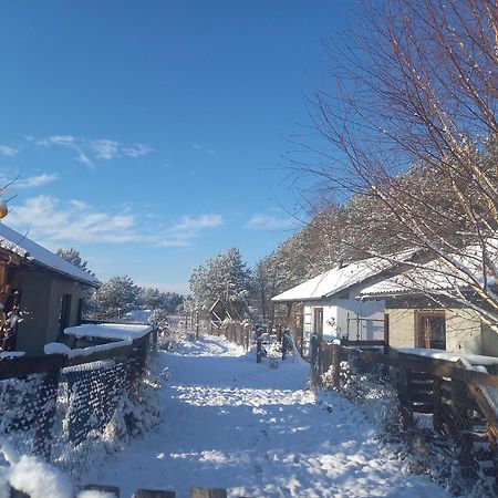 Chatki U Patki Lebieniec Buitenkant foto